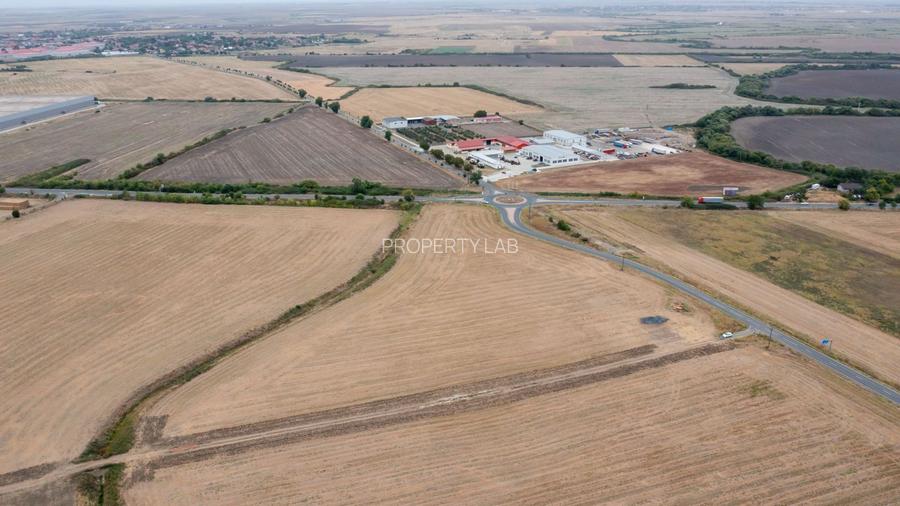 Teren DN6 Timișoara -Cenad sens giratoriu Dudeștii Noi - 16