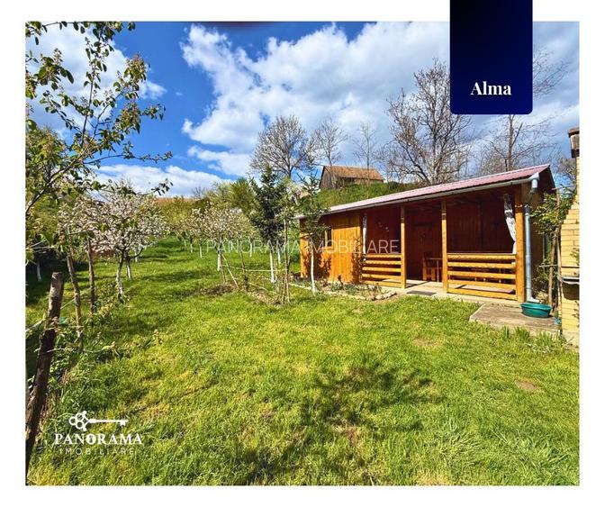 Teren Intravilan cu cabana  in satul transilvanean Alma - 7