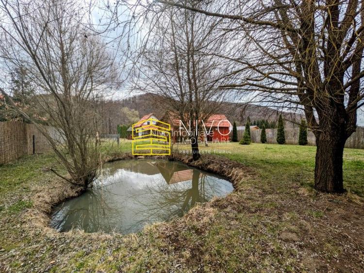 Casă singur în curte – Mureș – Câmpu Cetății - 30