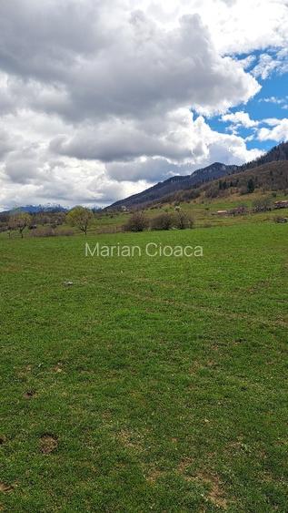 Teren intravilan de vânzare la munte ! - 7