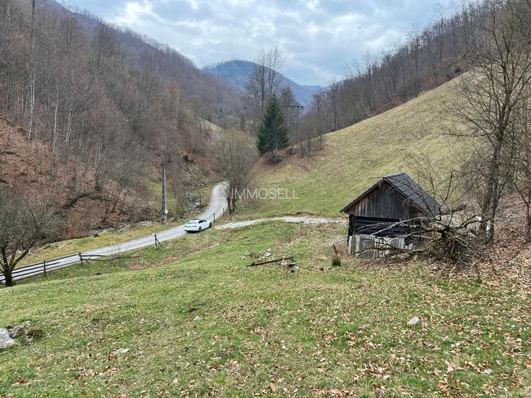 Teren intravilan 1.28ha Remeti–perfect pensiune/cabane, zonă turistica - 2