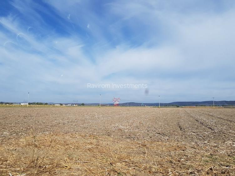 Teren 1.597mp, deschidere 47 ml, situat la 350m de Calea Barladului - 3