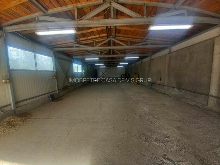 Casa de vanzare la 5 min de Centru cu trei nivele (D+P+1) si teren de 4300mp - 31