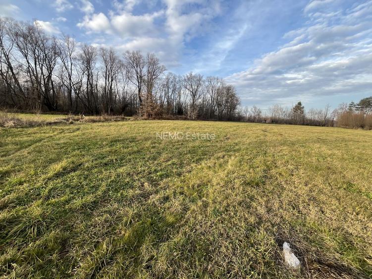 TEREN INTRAVILAN GENEROS | 72 ARI | GALANESTI - 4