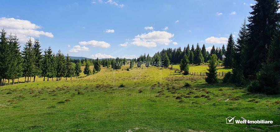 Teren intravilan 10.814 mp cu PUZ aprobat – Beliș - 2