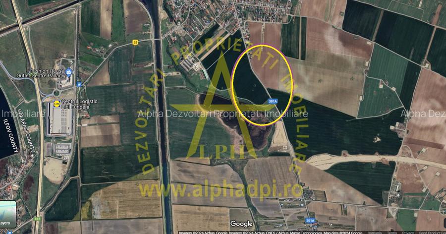 Cernica - Balaceanca 10 000 mp, Intravilan,deschidere 83 m la sosea asfaltata. - 2