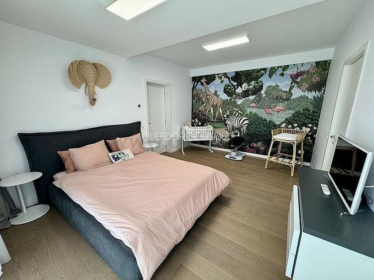 Vila de lux in zona Iancu Nicolae - 14