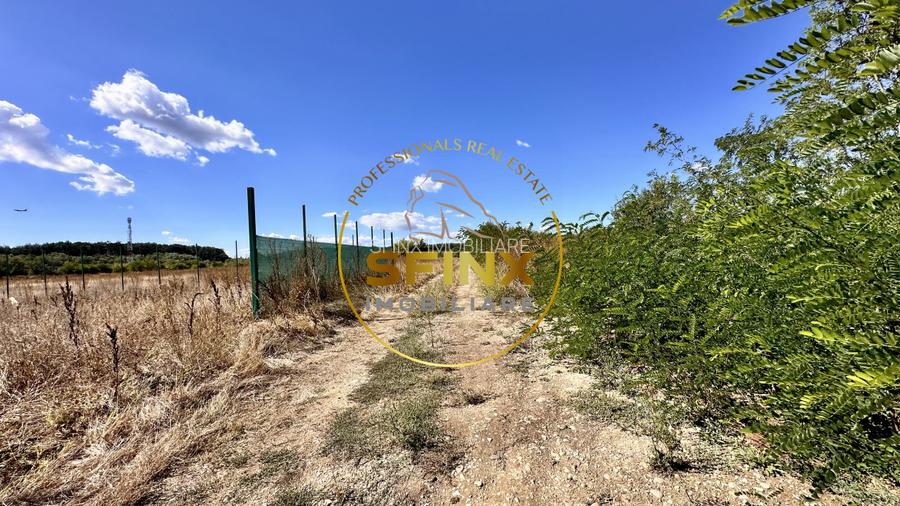 Corbeanca 5000 mp | deschidere 22 m la drum asfaltat | padure | utilitati  - 6