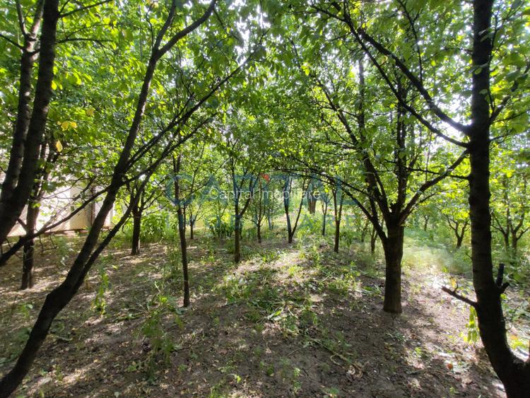 Casa de vanzare in cartierul Bulgaria. Comision 0! - 16