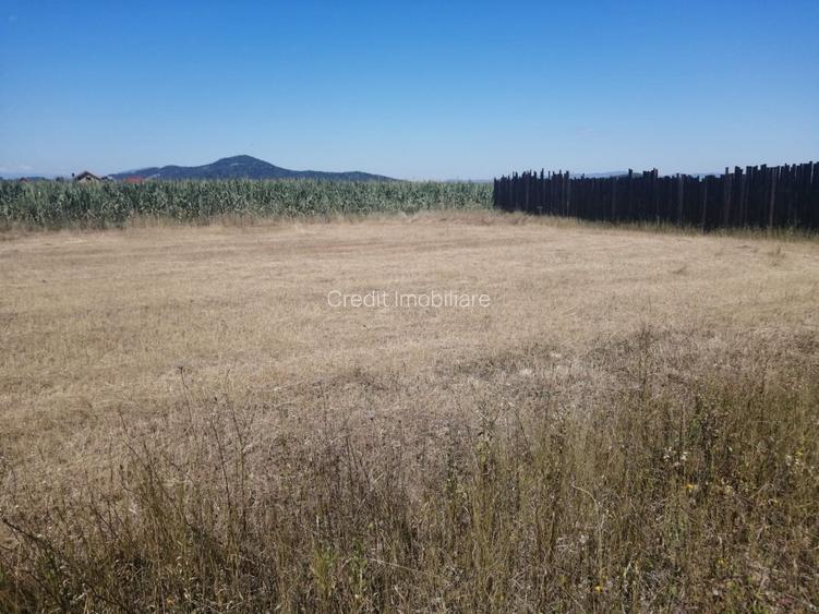 Teren de vanzare Harman. - 4