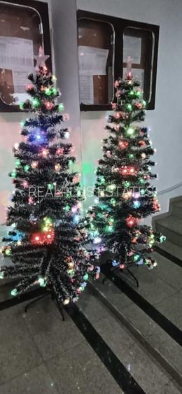 Inchiriere 2 camere Dorobanti - 10