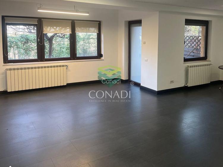 Vila Floreasca inchiriere - 5