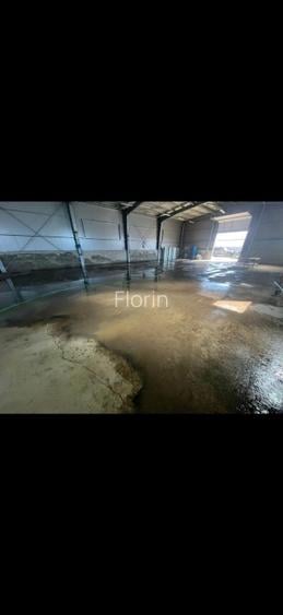 Hală de închiriat în Giroc – 485 mp + birou + curte - 4