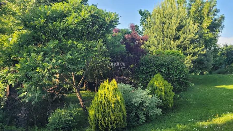 Vand 0.75 ha in Bazna cu 3 case, livada, gradina, pentru pensiune, camping... - 6