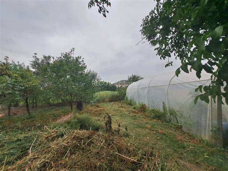 RECO  casa batraneasca Salard - 5