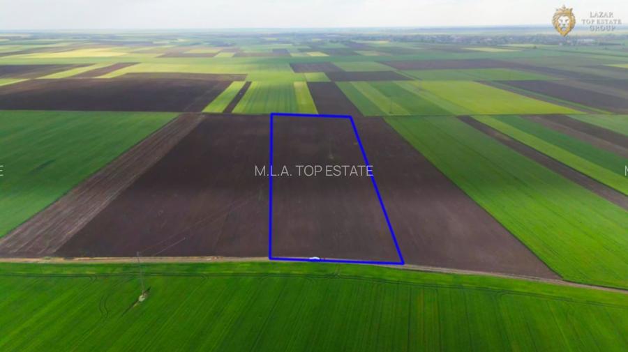 Teren cu potential 6,9 ha in Munar - 3