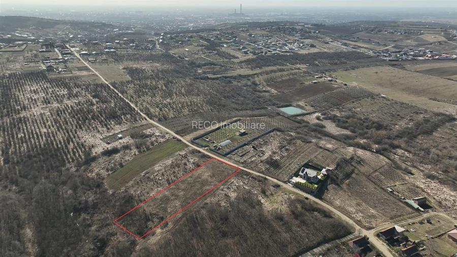 RECO Teren intravilan Paleu - 3