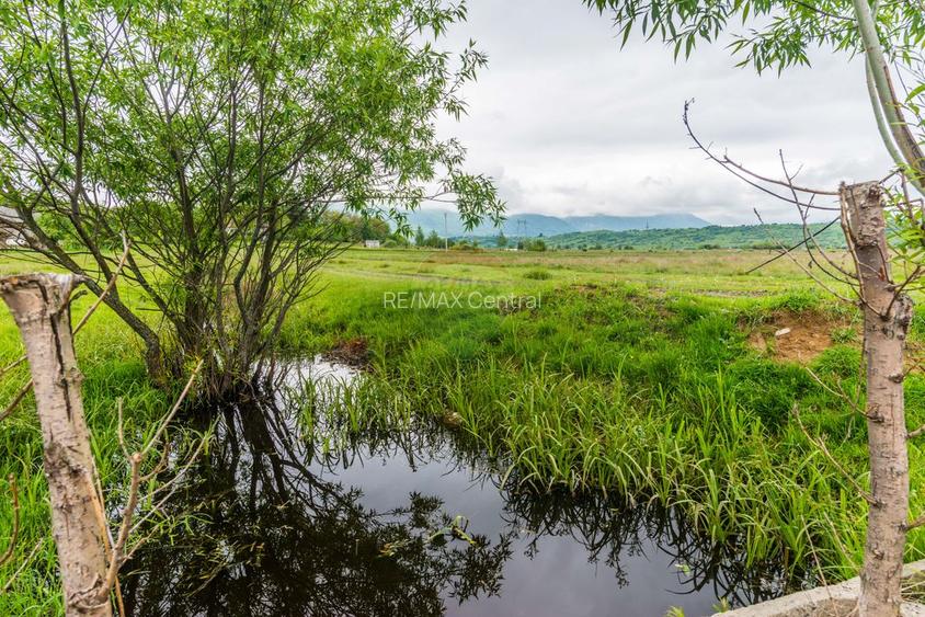 Teren Bran -Sohodol, Strada La mesteceni, 6900mp - 13
