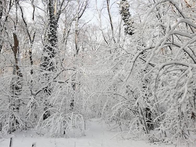 Apartament 4/ 5 camere exclusivist, garaj, inchiriere termen lung, Padurea Banea - 9