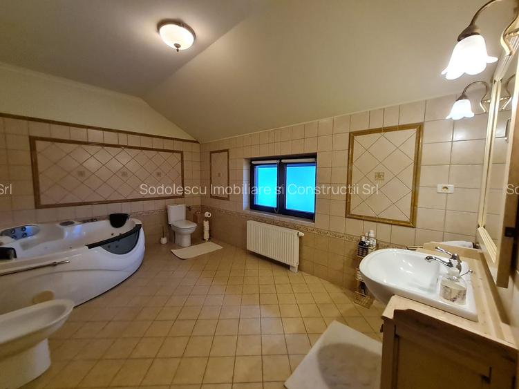 Poziție de top în Dumbravita - 28