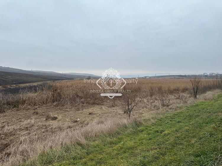 Teren 13.780 mp, Apahida, Cluj - Ideal pentru Investiție - 7