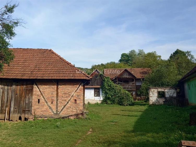 Teren intravilan cu potential, casa si anexe in Lunca - 19