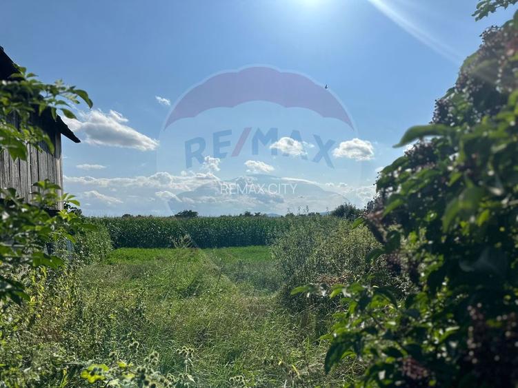 Teren intravilan 3.765 mp cu casă – Bodești de Jos - 2