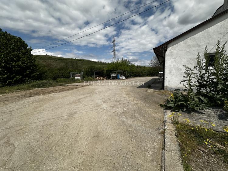 TEREN Intravilan 4077 mp. Asfalt Gard Parcare Utilitati Hala si Birouri 450 mp. - 5