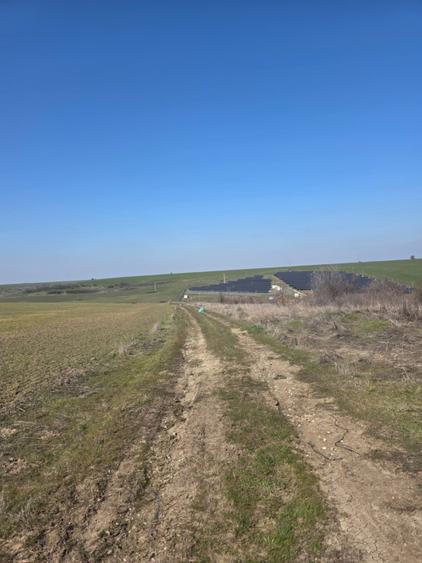 Teren intravilan, 7500 mp, Mischii