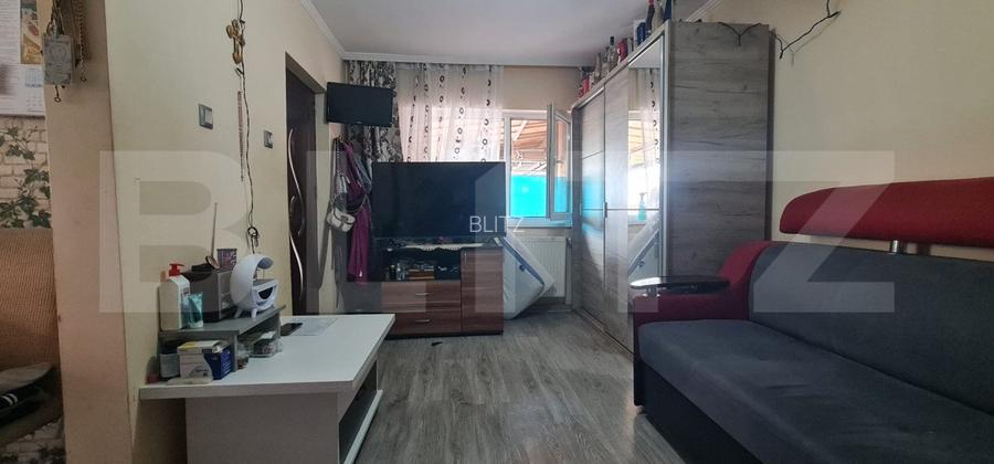 Casa individuala, Dambul Rotund  - 4