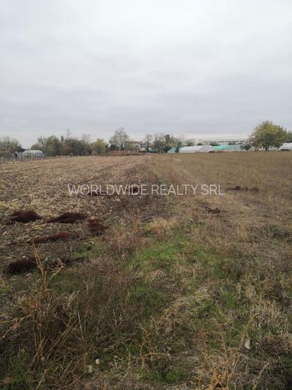 Magurele 1500mp langa padure, utilitati - 4