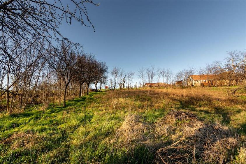 RECO. CASA LA ROSU , CETARIU - 13