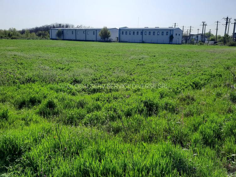 FARA COMISIOANE in Joita aproape de drumul asfaltat teren de 4600mp merita vazut - 3