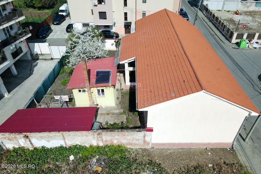 Lunei - Ion Neculce, 2 Apartamente. Mansarda 157 mp. Anexe, Lot 475 mp - 44