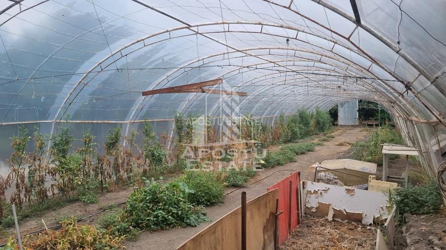 Casa individuala, teren generos, oportunitate de investitie - 16