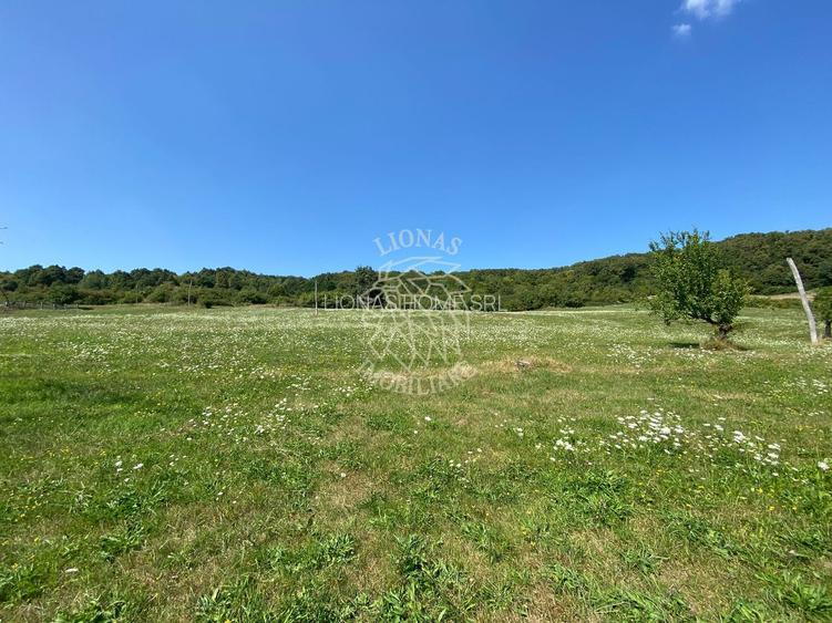 Teren 11.000 mp-ideal cabana/ferma-Unirea-Valea Slatinitei - 7