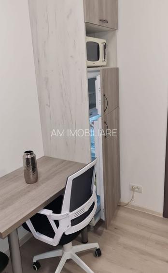 STUDIO CU GRADINA PROPRIE, BLOC NOU, CENTRALA PROPRIE, LIBER MUTARE - 4