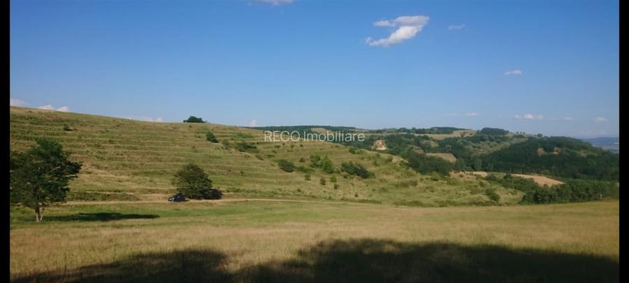 Reco  Teren extravilan Tileagd - 7