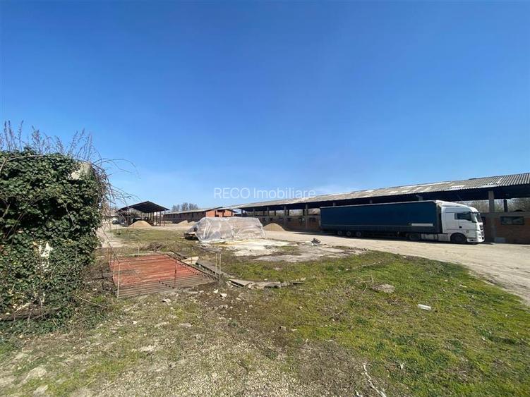 RECO hale cu teren generos Salonta - 8