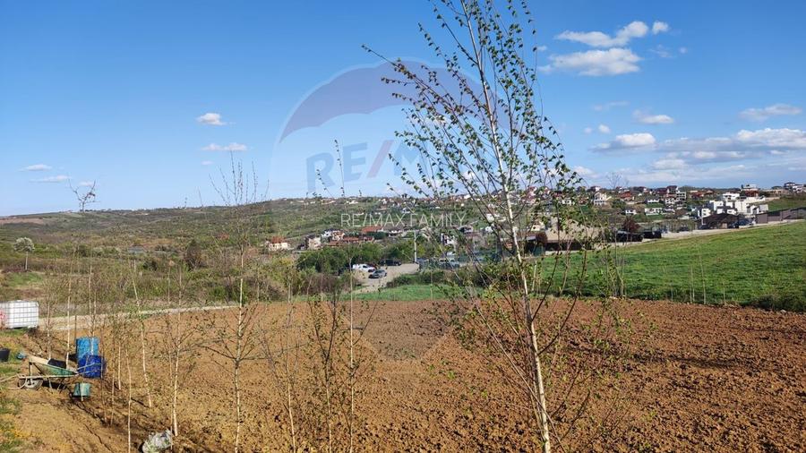 Vânzare teren intravilan 1,200mp Oradea, zona Doja - Hanul Pescarilor - 22