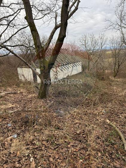 DE VANZARE Teren Strada Victoriei Baia Mare - 6