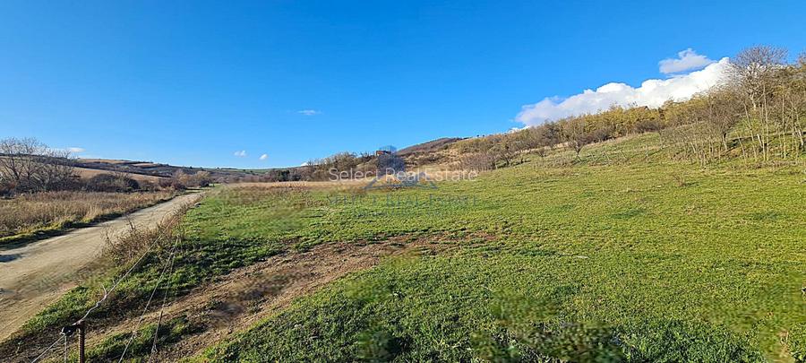 Teren intravilan\constructii \Sura Mare \ Sibiu - 8