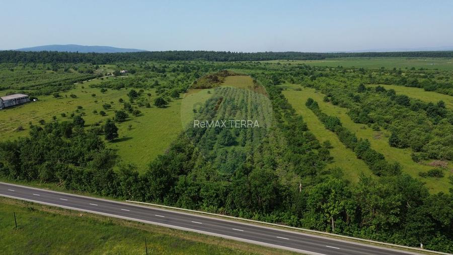 Teren Intravilan de Vanzare la Drum European - 4