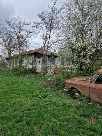 Casa batraneasca cu 4260mp teren la Costesti - 4