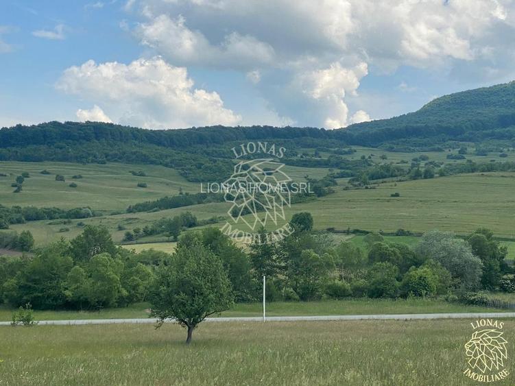 Teren 6500 mp-Lac-vedere panoramica-ideal cabana-Cusma - 2