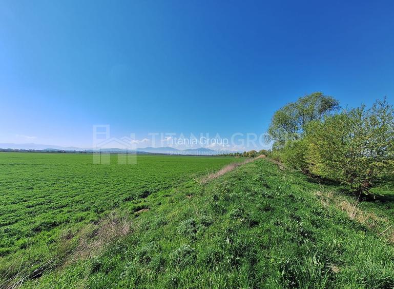 Teren de 8700 mp - extravilan - Bod, Brasov - 2