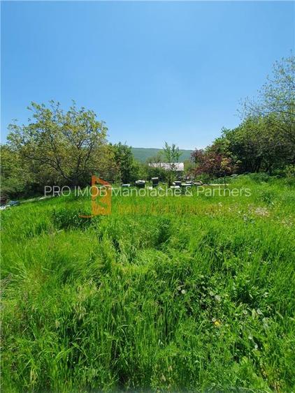 EXCLUSIVITATE! Casa cu teren zona Parscov - 29