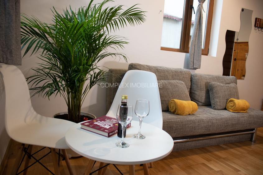 Unirii Mitropolie Studio Premium  In Bloc tip Vila cu Centrala Proprie - 40