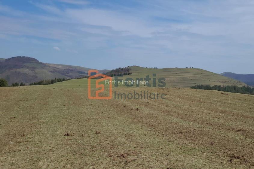 Teren zona de interes turistic 12 000 mp - 5