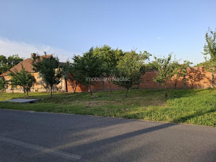 Casa pentru demolare/renovare in Nadlac cu teren 616mp - 3